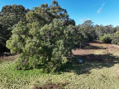 Farm For Sale - TAS - Elizabeth Town - 7304 - Make your dreams a reality!  (Image 2)