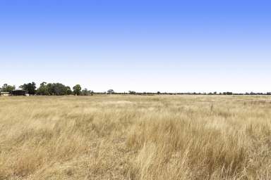 Farm For Sale - QLD - Oakey - 4401 - Lifestyle - 5acres  (Image 2)