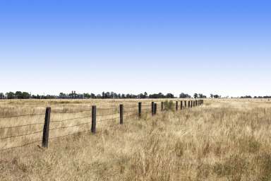 Farm For Sale - QLD - Oakey - 4401 - Lifestyle - 5acres  (Image 2)