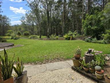 Farm For Sale - NSW - Bonville - 2450 - Two Homes, One Incredible Forest Retreat – A Unique Opportunity.  (Image 2)