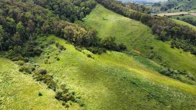 Farm For Sale - QLD - Neerdie - 4570 - GOOMBOORIAN LAND  (Image 2)