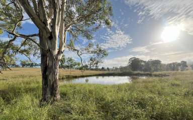 Farm Auction - QLD - Runnymede - 4615 - Lifestyle Grazing two hours from Brisbane and the Sunshine Coast  (Image 2)