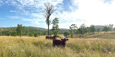 29 Runnymede Estate East Road, Runnymede QLD 4615