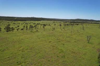 Farm Auction - QLD - Willows - 4702 - ‘Budgawillie’  (Image 2)