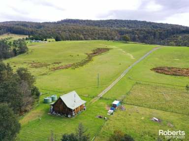 Farm For Sale - TAS - Glengarry - 7275 - Home on the Creek with Acreage  (Image 2)