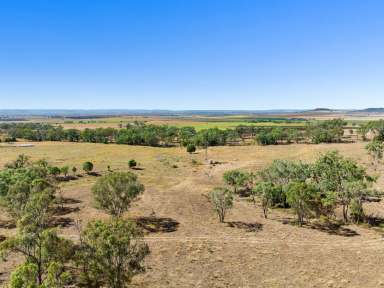 Farm For Sale - QLD - Nobby - 4360 - Rare 80 Acres - Offered for the first time in 54 Years!  (Image 2)