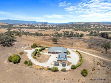 Farm For Sale - VIC - Alexandra - 3714 - The Ultimate Country Lifestyle!  (Image 2)