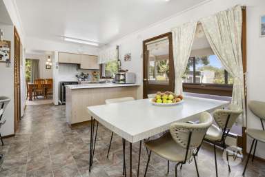 Farm For Sale - VIC - Langwarrin - 3910 - Charming Hobby Farm in Prime Langwarrin Location  (Image 2)