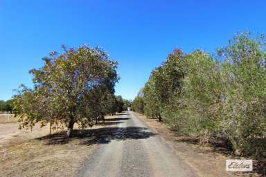 Farm For Sale - VIC - Shelbourne - 3515 - WELL SET UP HORSE PROPERTY ON 20 ACRES WITH 800M TROTTING / JOG TRACK  (Image 2)