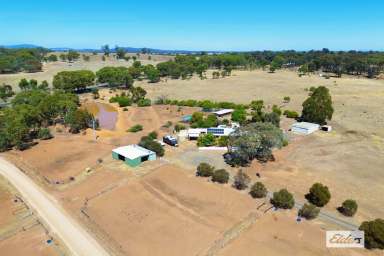 Farm For Sale - VIC - Shelbourne - 3515 - WELL SET UP HORSE PROPERTY ON 20 ACRES WITH 800M TROTTING / JOG TRACK  (Image 2)