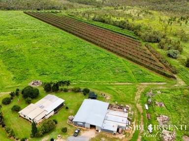 Farm For Sale - QLD - Dimbulah - 4872 - IDEAL BLEND OF LIFESTYLE LIVING AND FARMING POTENTIAL  (Image 2)