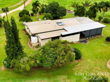 Farm For Sale - QLD - Dimbulah - 4872 - IDEAL BLEND OF LIFESTYLE LIVING AND FARMING POTENTIAL  (Image 2)