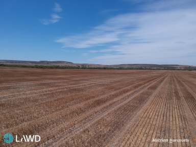 Farm For Sale - WA - Walkaway - 6528 - Springfield Farm, Walkaway  (Image 2)