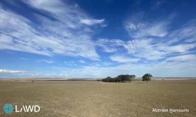 Farm For Sale - WA - Allanooka - 6525 - 'Allanooka Farm', Allanooka  (Image 2)