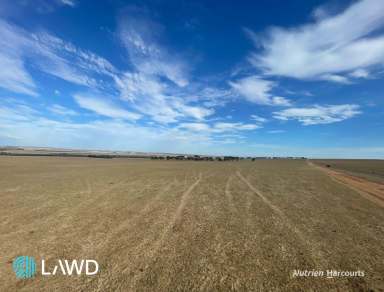 Farm For Sale - WA - Allanooka - 6525 - 'Allanooka Farm', Allanooka  (Image 2)