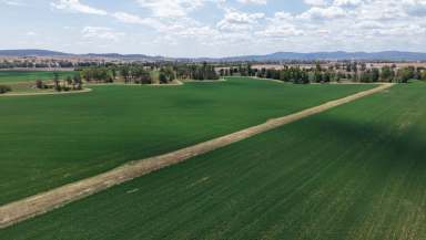 Farm For Sale - NSW - Canowindra - 2804 - Belubula Self-Watering Flats and Irrigation  (Image 2)