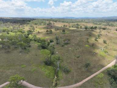 Farm For Sale - QLD - Crows Nest - 4355 - Andrews Paddock - "Quality Crows Nest / Eskdale District Grazing Country"  (Image 2)