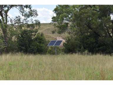 Farm For Sale - QLD - Crows Nest - 4355 - Andrews Paddock - "Quality Crows Nest / Eskdale District Grazing Country"  (Image 2)