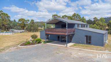 Farm For Sale - TAS - Mount Direction - 7252 - Stunning Country Retreat with Spacious Home, Sheds, and Hobby Farm Potential  (Image 2)