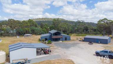 Farm For Sale - TAS - Mount Direction - 7252 - Stunning Country Retreat with Spacious Home, Sheds, and Hobby Farm Potential  (Image 2)