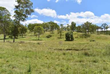 Farm For Sale - QLD - Crows Nest - 4355 - Smoothy's Paddock - 'Quality Crows Nest / Eskdale District Grazing Country'  (Image 2)