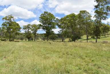 Farm For Sale - QLD - Crows Nest - 4355 - Smoothy's Paddock - 'Quality Crows Nest / Eskdale District Grazing Country'  (Image 2)