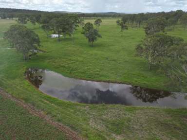 Farm For Sale - QLD - Booie - 4610 - Tick Free, Quality Mixed Farming Property  (Image 2)