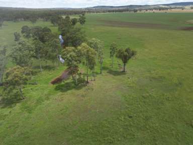 Farm For Sale - QLD - Booie - 4610 - Tick Free, Quality Mixed Farming Property  (Image 2)