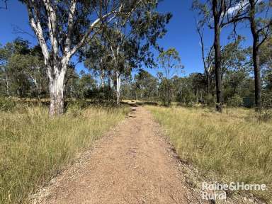 Farm For Sale - QLD - Wattle Camp - 4615 - Fantastic Property to Build on and get away.  (Image 2)