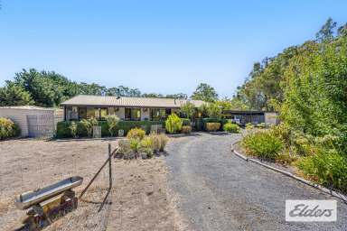 Farm For Sale - VIC - Amphitheatre - 3468 - Country Charm Meets Modern Comfort – Your Amphitheatre Retreat Awaits  (Image 2)