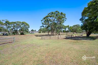 Farm For Sale - VIC - Dartmoor - 3304 - BEAUTIFUL BLANK CANVAS SHADED WITH ESTABLISHED TREES  (Image 2)