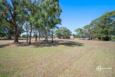 Farm For Sale - VIC - Dartmoor - 3304 - BEAUTIFUL BLANK CANVAS SHADED WITH ESTABLISHED TREES  (Image 2)