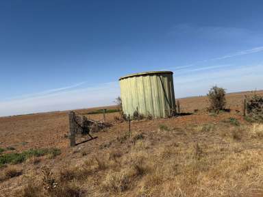 Farm For Sale - VIC - Patho - 3564 - Prime 321-Acre Dryland Cropping Opportunity  (Image 2)