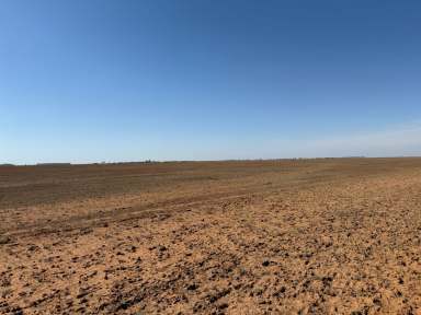 Farm For Sale - VIC - Patho - 3564 - Prime 321-Acre Dryland Cropping Opportunity  (Image 2)