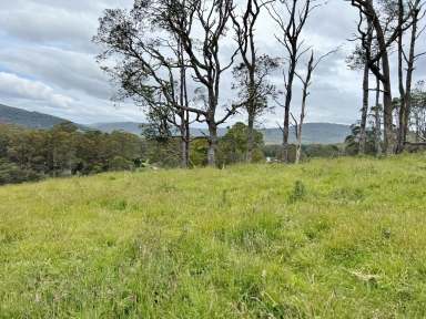 Farm For Sale - TAS - Weldborough - 7264 - 15.5 acres of Fresh air, Mountain Views, and Green Pasture. Weldborough.  (Image 2)