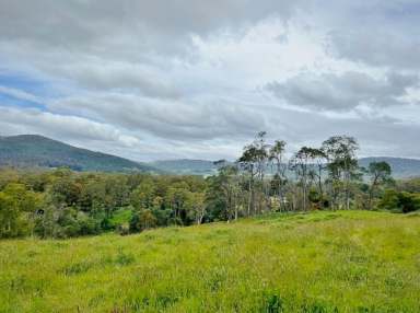 Farm For Sale - TAS - Weldborough - 7264 - 15.5 acres of Fresh air, Mountain Views, and Green Pasture. Weldborough.  (Image 2)