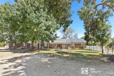 Farm For Sale - VIC - Devon Meadows - 3977 - EVERYTHING YOU'VE BEEN SEARCHING FOR...  (Image 2)