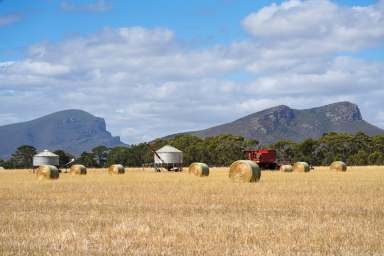 Farm Auction - VIC - Moutajup - 3294 - Magnificent 139-Acre Property with Sensational Mountain Views  (Image 2)