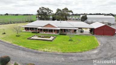 Farm For Sale - VIC - Drung - 3401 - FOR LEASE BY TENDER  (Image 2)