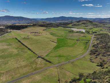 Farm For Sale - TAS - Tea Tree - 7017 - Outstanding Viticulture, Horticulture, Cropping and Livestock Opportunity  (Image 2)