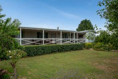 Farm For Sale - NSW - Neville - 2799 - Exceptional Estate  (Image 2)