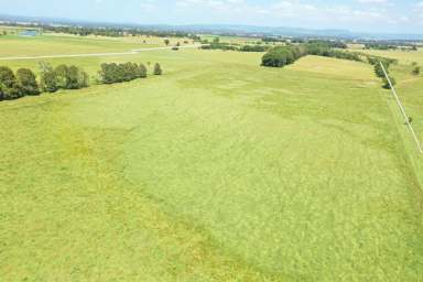 Farm For Sale - NSW - Casino - 2470 - ONE OF THE BEST AT FAIRY HILL  (Image 2)