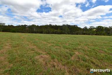 Farm For Sale - QLD - Apple Tree Creek - 4660 - 12.5 Acres - Excellent Location  (Image 2)