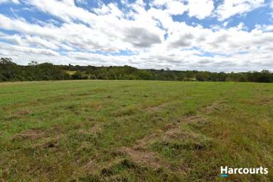 Farm For Sale - QLD - Apple Tree Creek - 4660 - 12.5 Acres - Excellent Location  (Image 2)