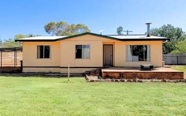 Farm For Sale - NSW - Tullamore - 2874 - Charming 4-Bedroom Home on 23 Acres - A Rural Retreat with Modern Comforts  (Image 2)