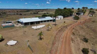 Farm For Sale - QLD - Mundubbera - 4626 - Outstanding Lifestyle Property Close to Town  (Image 2)