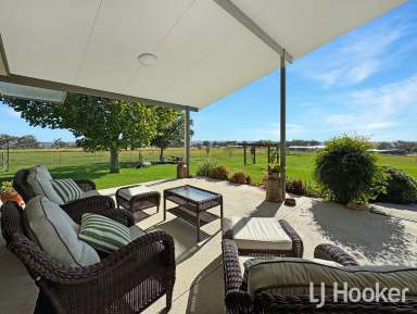 Farm For Sale - NSW - Inverell - 2360 - Impressive Rural Living: Renovated Home, Expansive Sheds, and Premium Horse Setup  (Image 2)