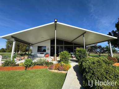 Farm For Sale - NSW - Inverell - 2360 - Impressive Rural Living: Renovated Home, Expansive Sheds, and Premium Horse Setup  (Image 2)