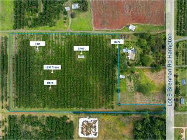 Farm For Sale - QLD - Hampton - 4352 - Subdividable 34 Acres... 5 bores... Sheds... Income... 2 Lots-The Option To Purchase 1 Or Both  (Image 2)