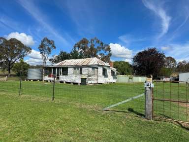 Farm For Sale - NSW - Tingha - 2369 - Ideal Starter Block - Create your own  (Image 2)